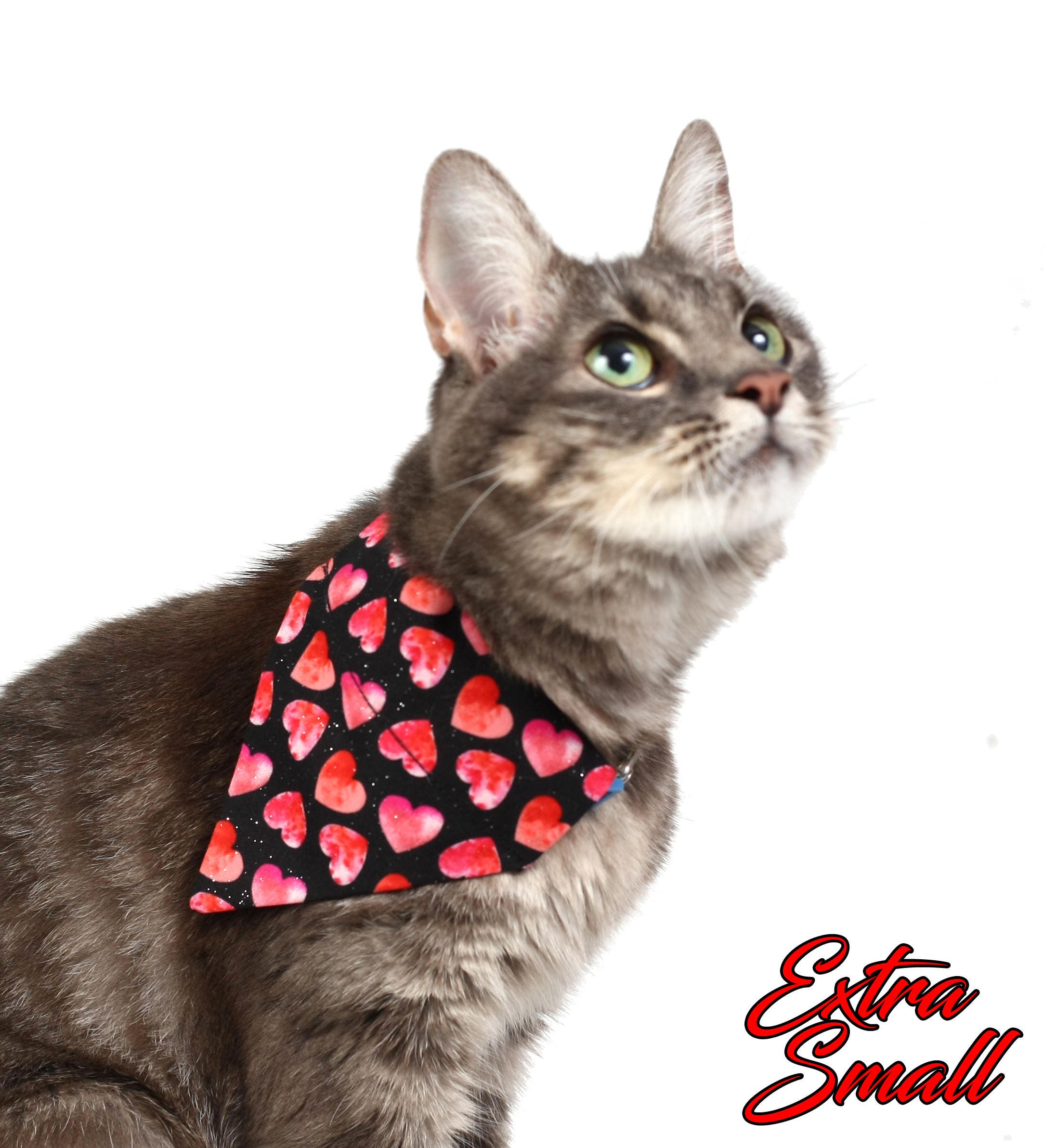 Pink and Red Hearts on Black Pet Scarf
